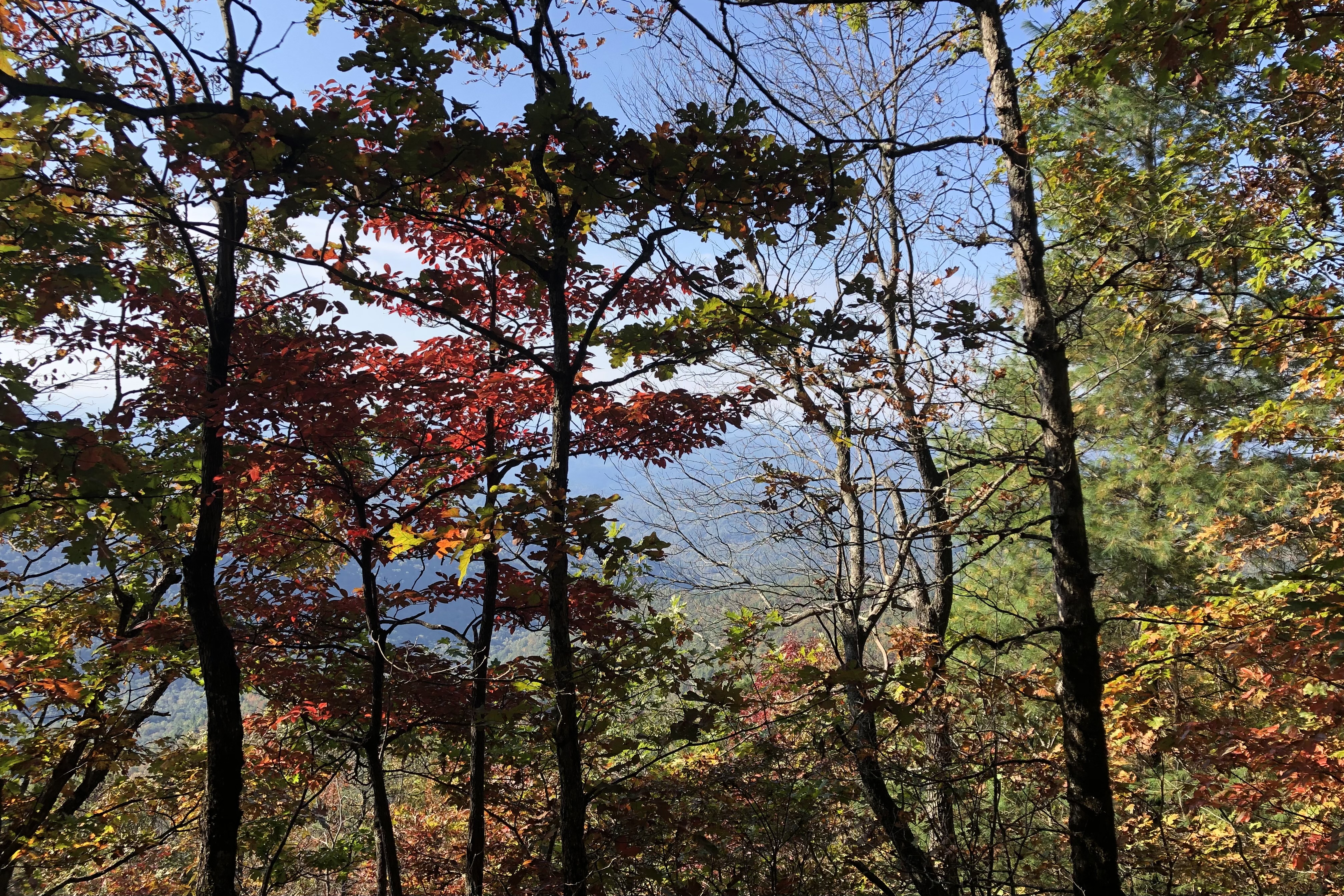 photo of Appalachian Trail  photo of Appalachian Trail