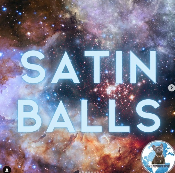 SPACE BALLS: The Ultimate Satin Balls Recipe for Frenchies in Albuquerque