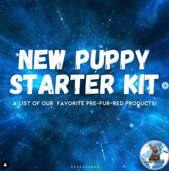 The Ultimate New Puppy Starter Kit for French Bulldog Puppies in Albuquerque