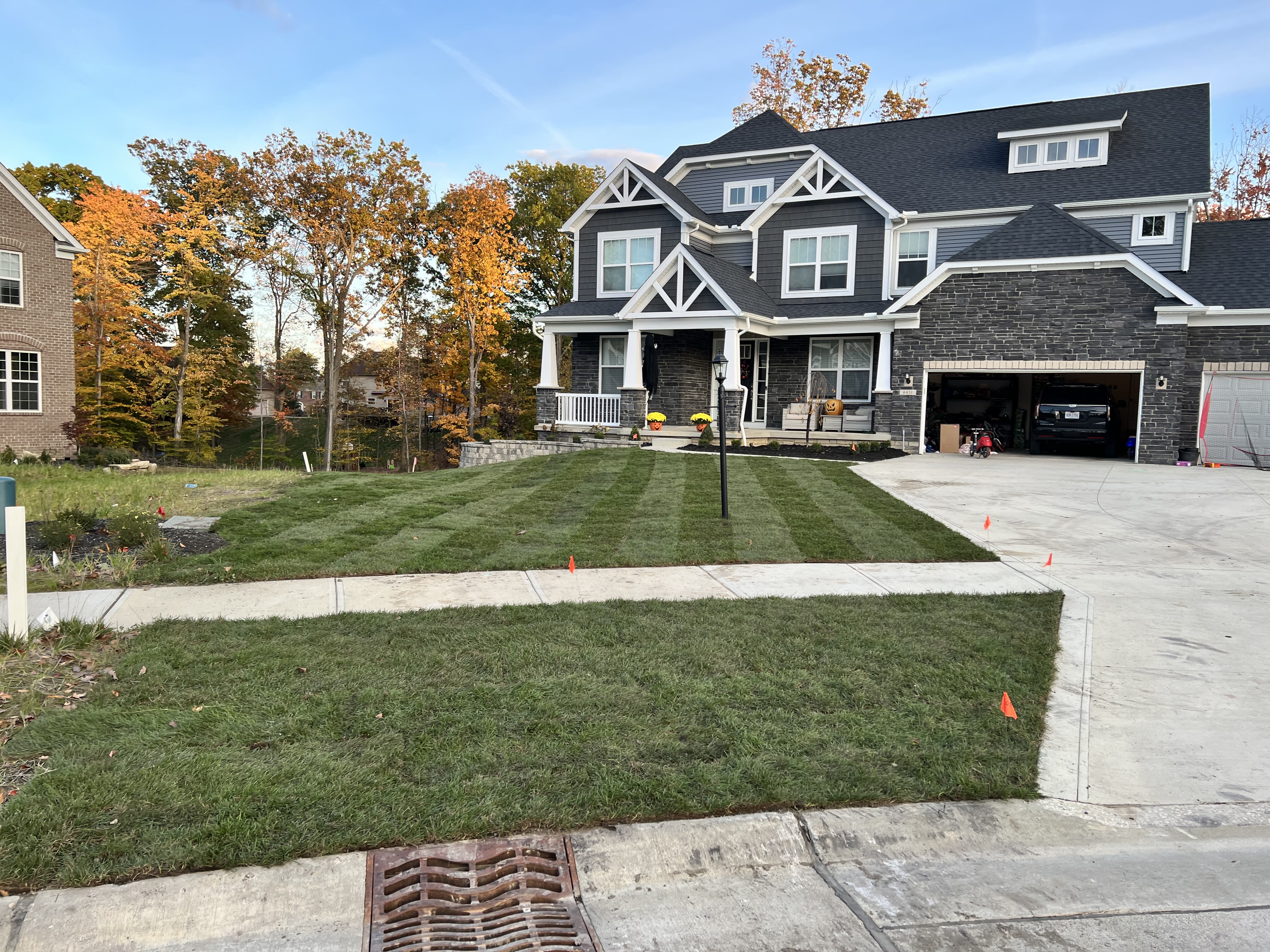 Lawn Restoration