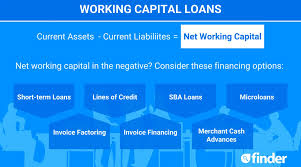 Different types of working capital loans cater to various business needs.