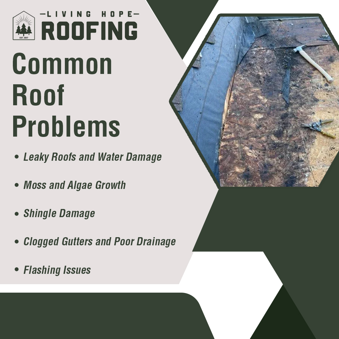 Roofing and Repairs Roofing and Repairs