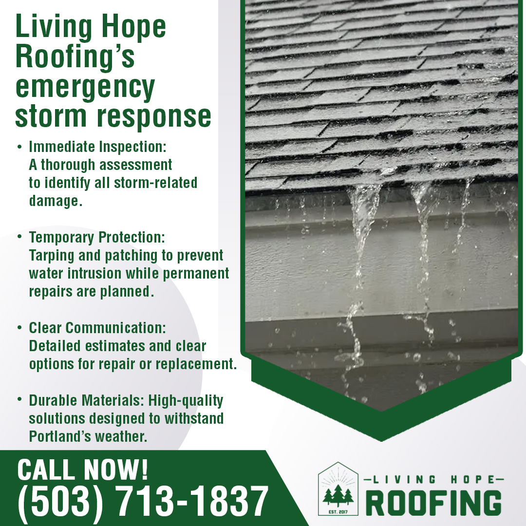 Close-up of water dripping heavily from shingles during a storm. Close-up of water dripping heavily from shingles during a storm.