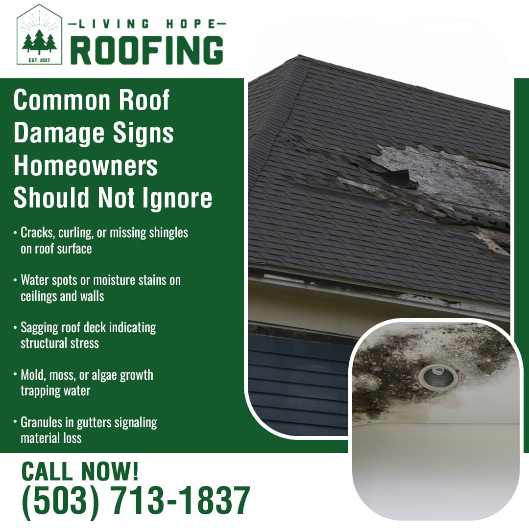 Graphic from Living Hope Roofing showing common roof damage signs, including cracked or missing shingles, sagging roof areas, water stains on ceilings, mold growth, and roof granules in gutters, alongside images of a damaged shingle roof and interior moisture damage.