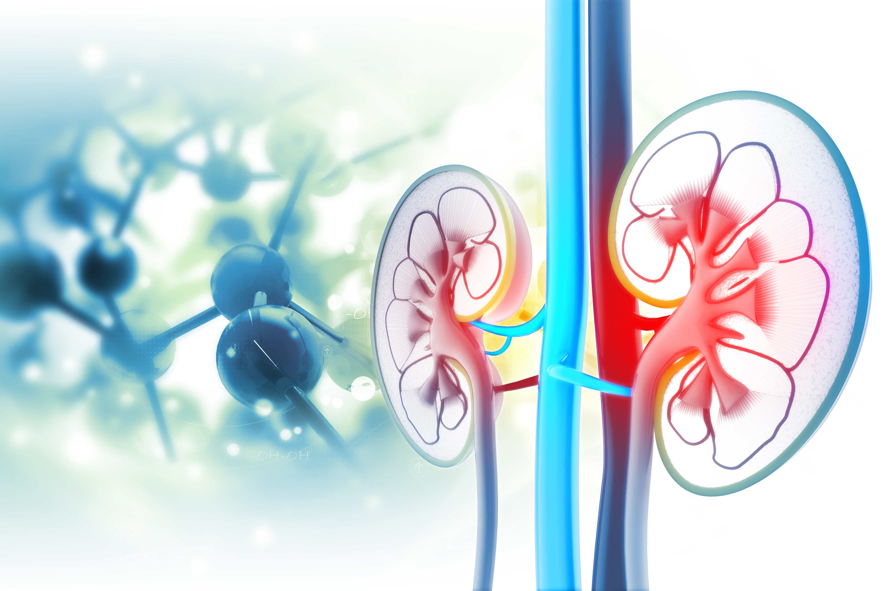 nephropathy nephropathy