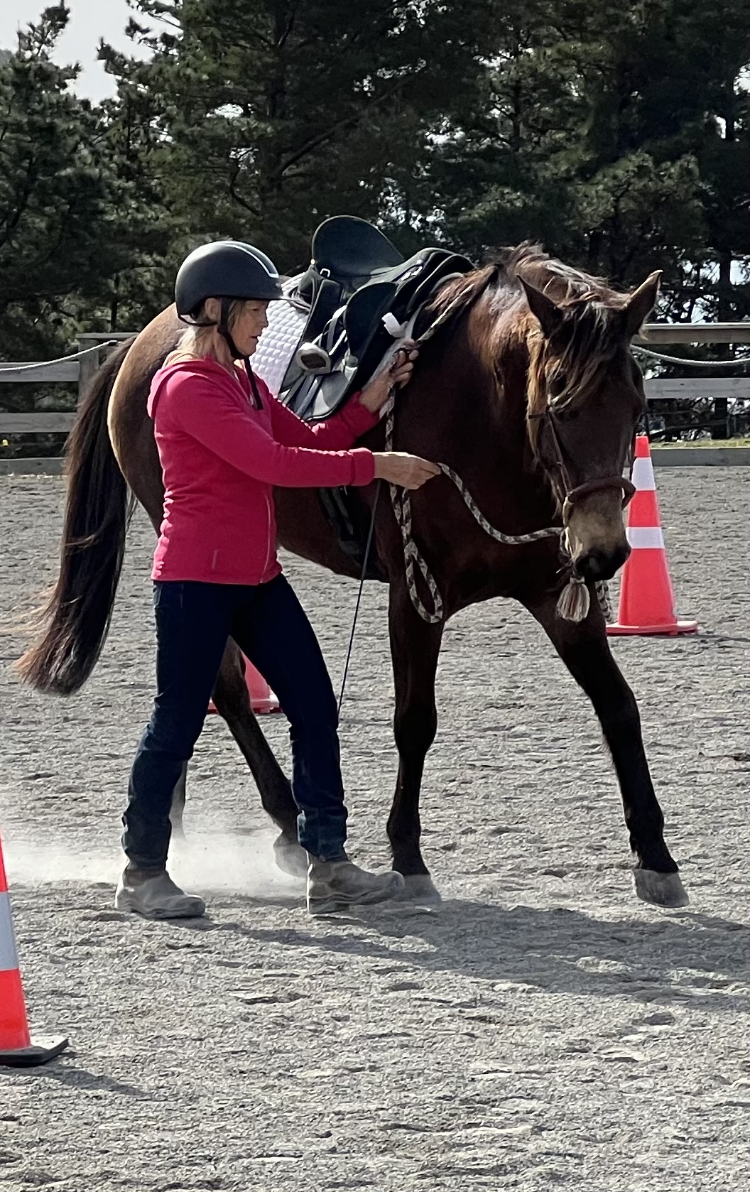 Bringing It All Together: How In-Hand Work Prepares Both Horse and Rider for Riding