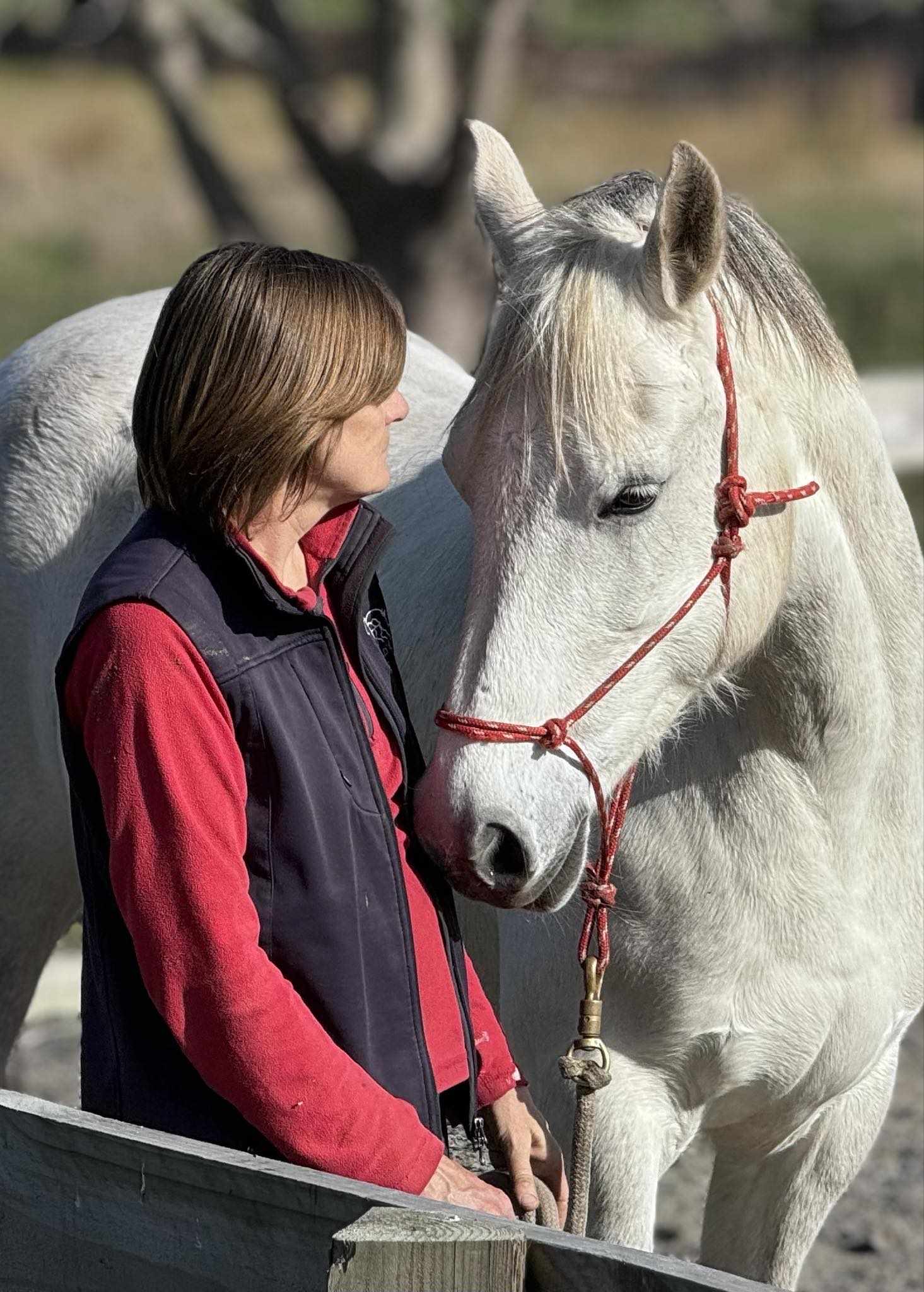 The Depths of Feeling: A Soulful Connection with Your Horse