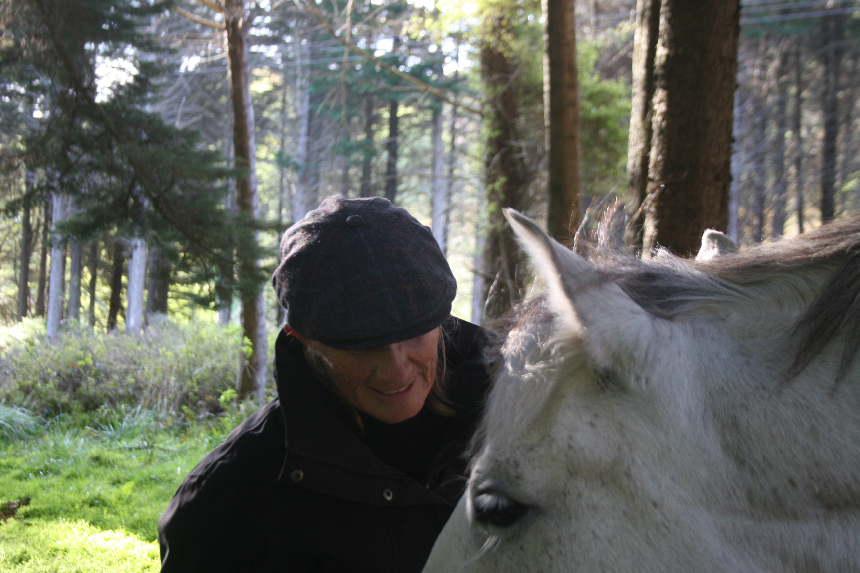 The Power of Oneness: A Sacred Journey with Your Horse