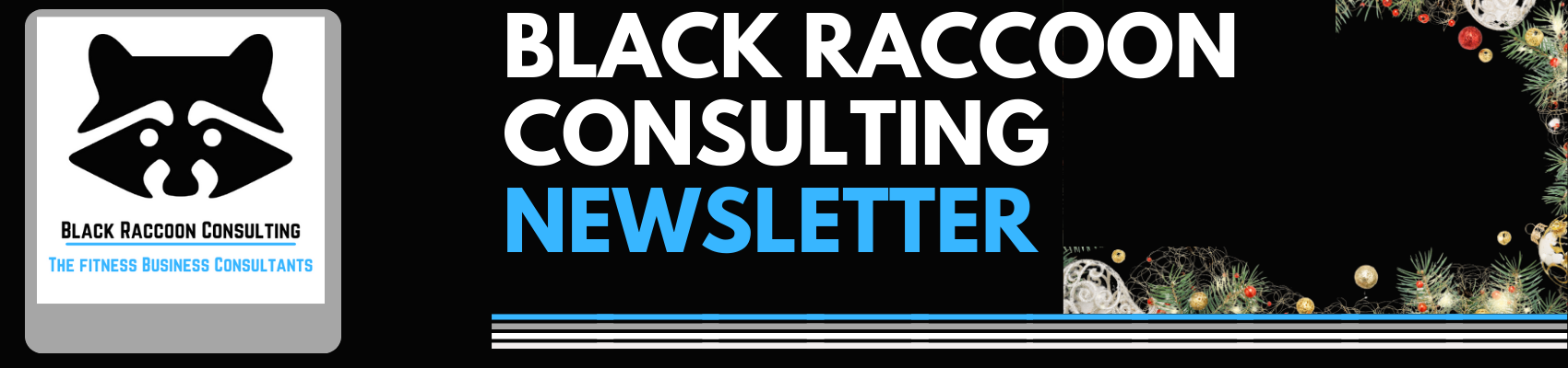 Black raccoon Consulting Newsletter