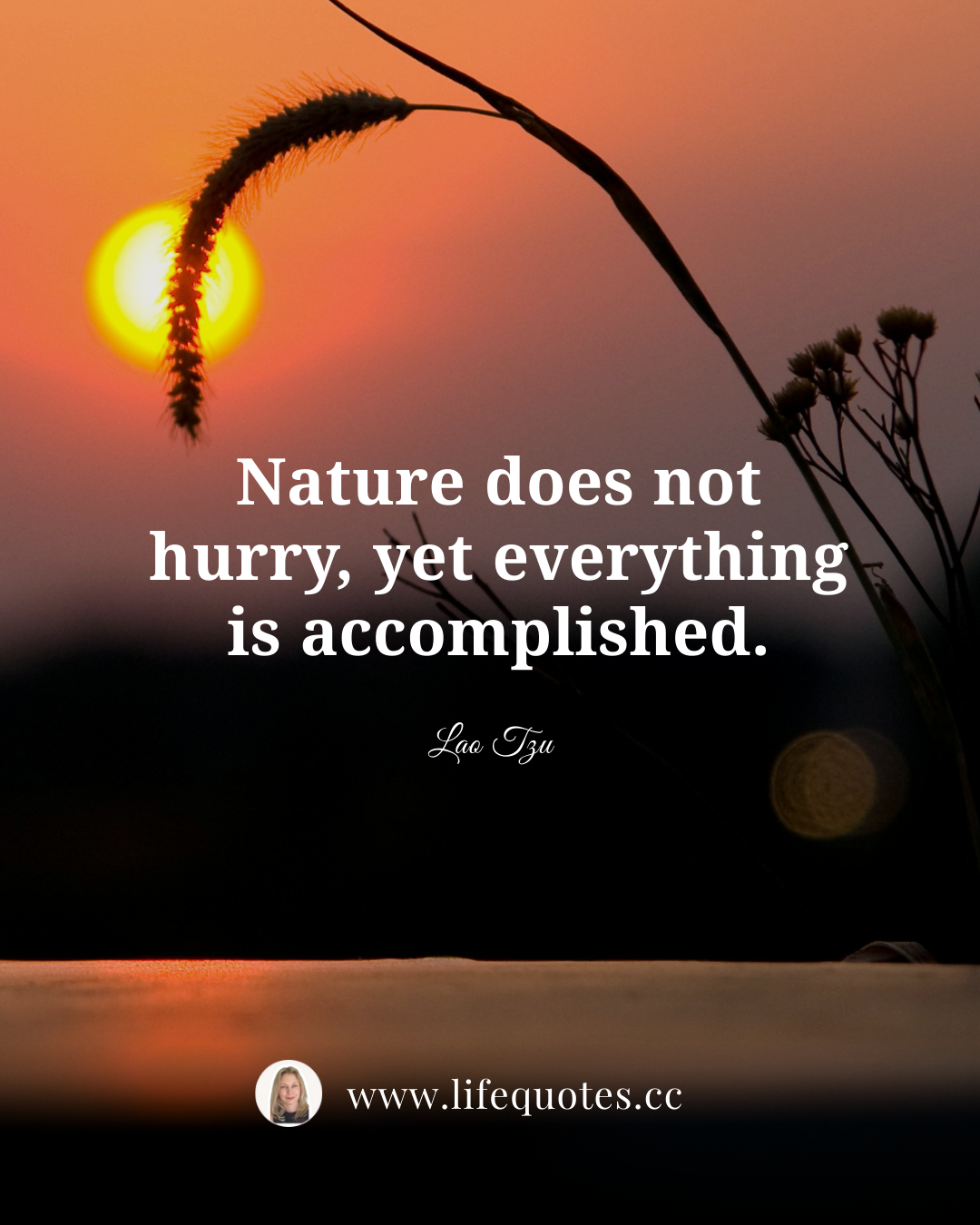 Nature does not hurry