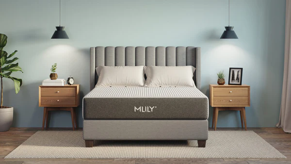 MLILY Fusion Orthopedic