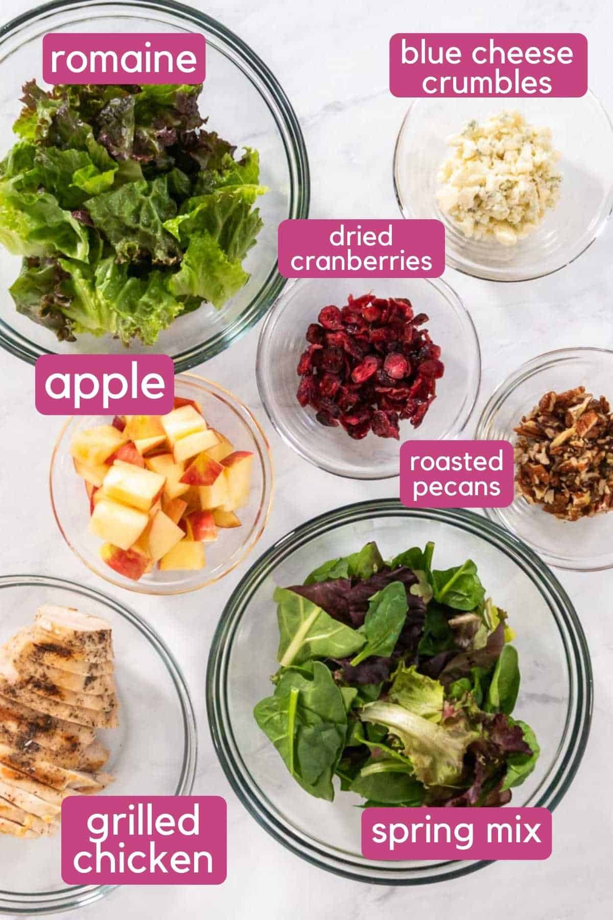 apple pecan chicken salad apple pecan chicken salad