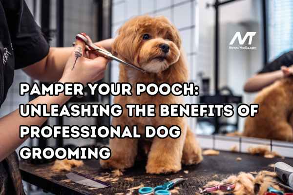 Pamper Your Pooch: Unleashing the Benefits of Professional Dog Grooming