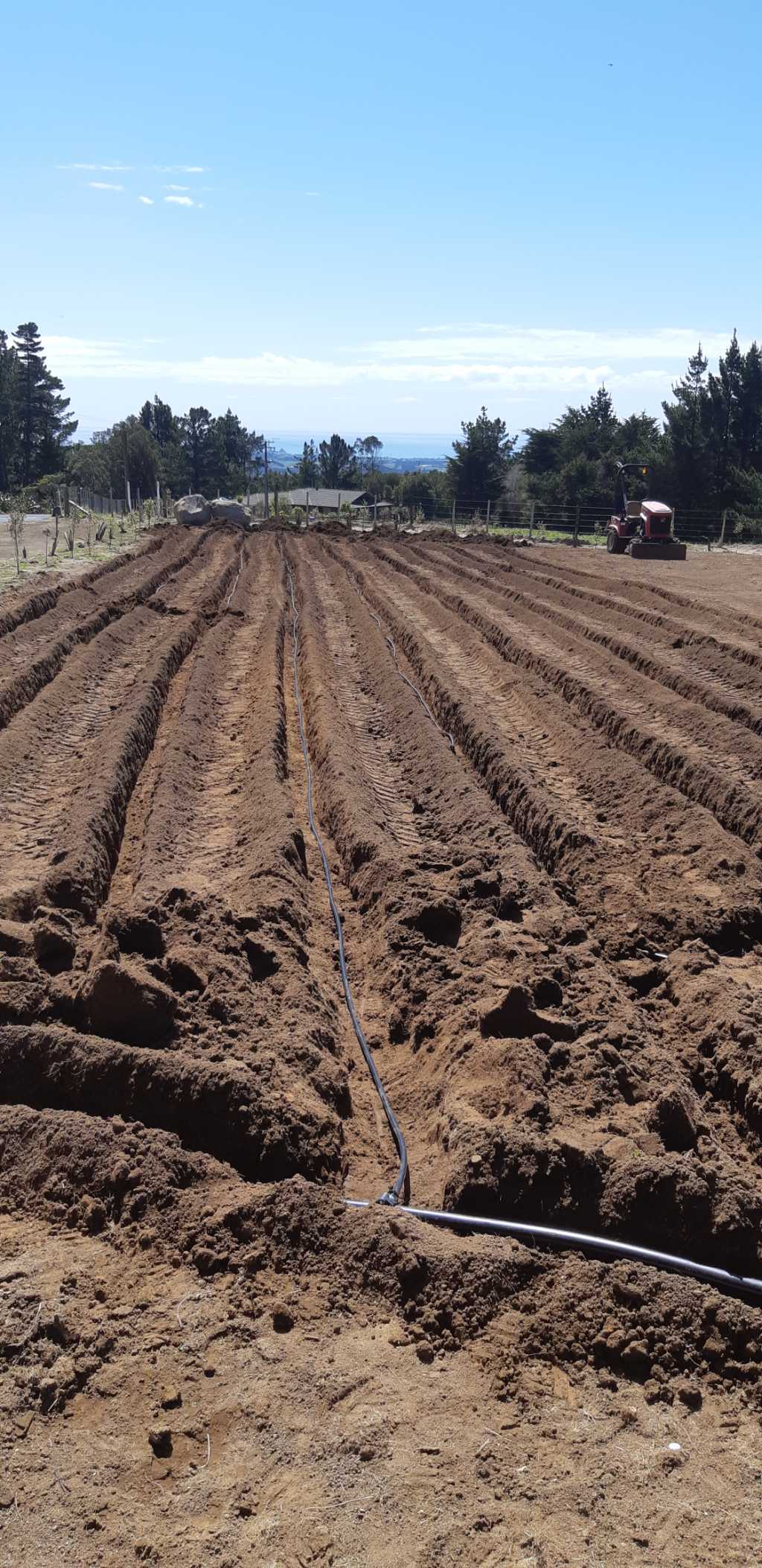 Drain Laying Bay of Plenty