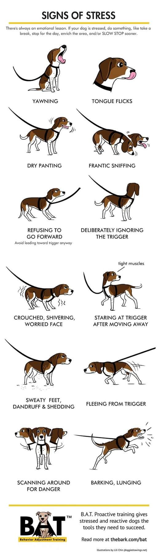 signs of stress in dogs