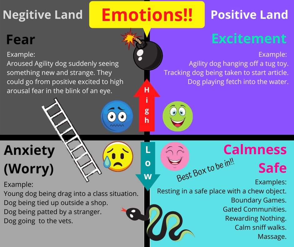 adrenalin responses behaviour 