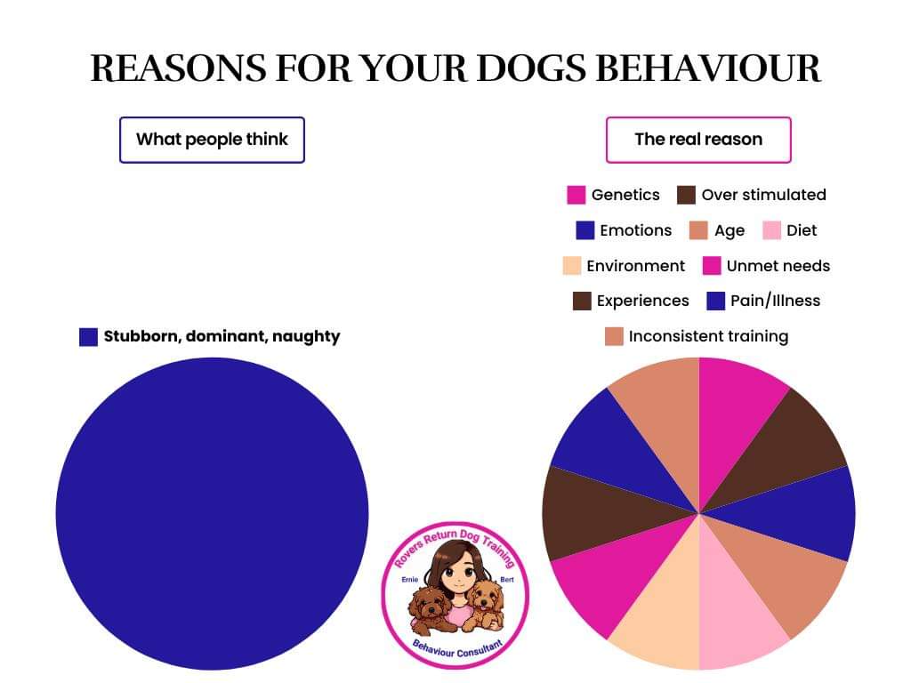 reasons for behaviour