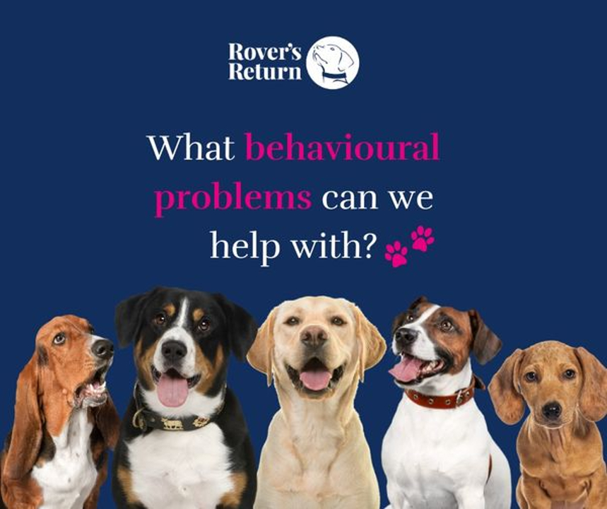 what behaviour problems can we help with