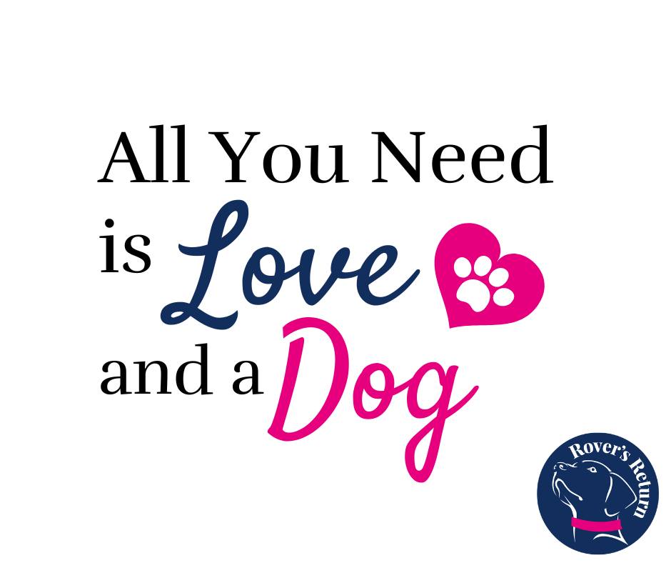 all you need is love and a dog