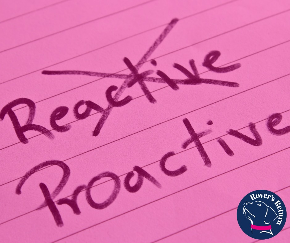 Proactive not reactive
