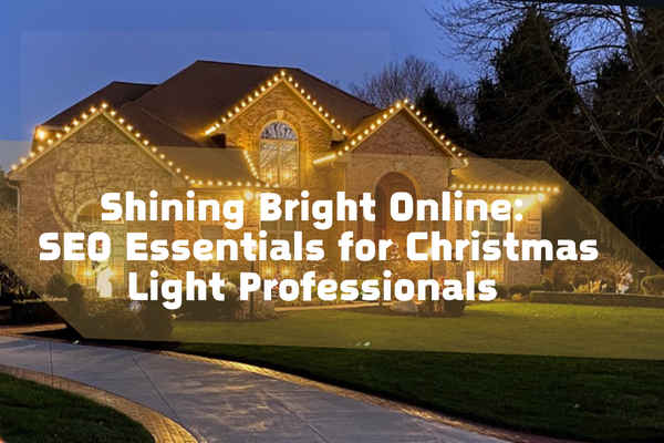 Christmas lights installation business