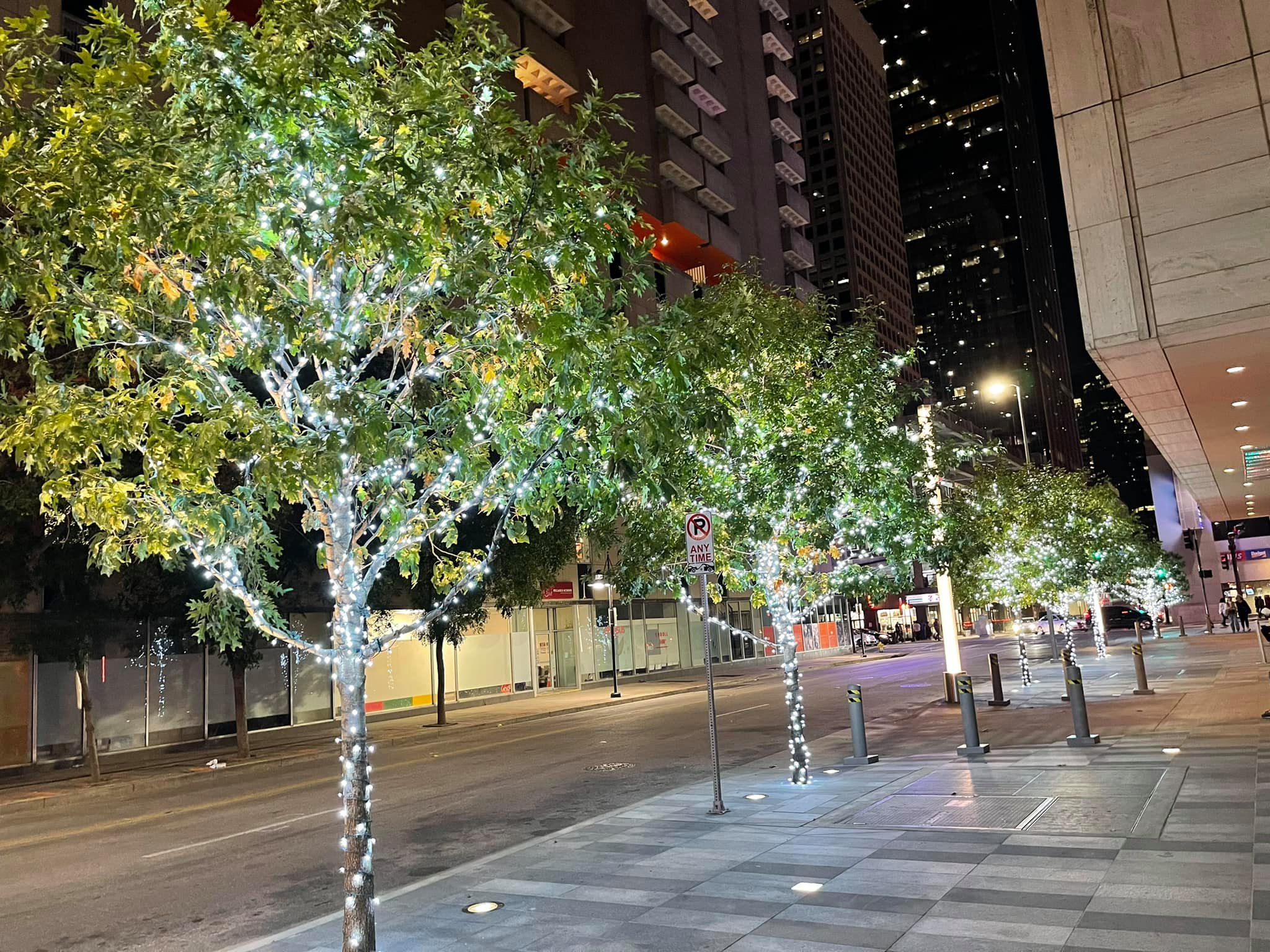 Christmas lights installation