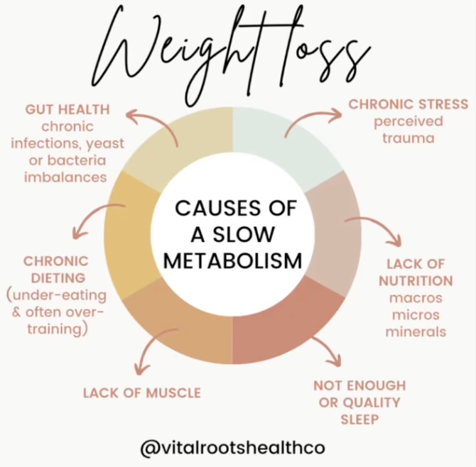 metabolism slowing