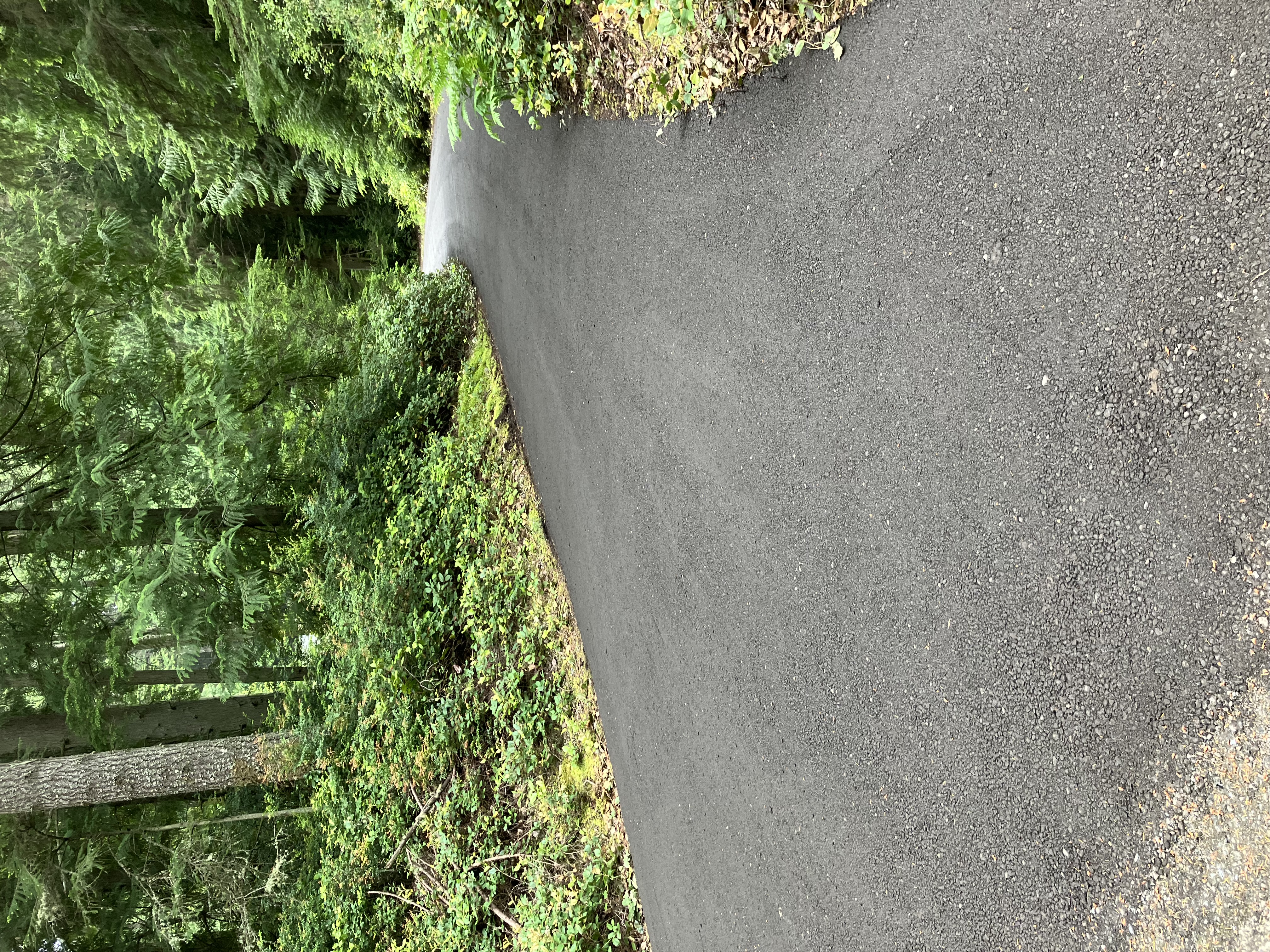 Driveway Maintenance & Regrading