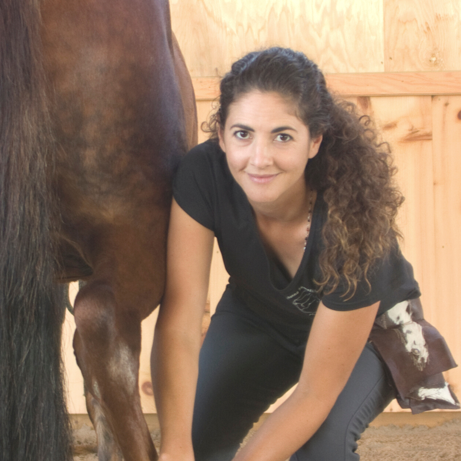 Alissa Mayer is a Certified Equine Hanna Somatics® Educator, founder of the Association for Equine Hanna Somatics Education (AEHSE), and co-instructor of the Equine Hanna Somatics Professional Training & Certification Program.