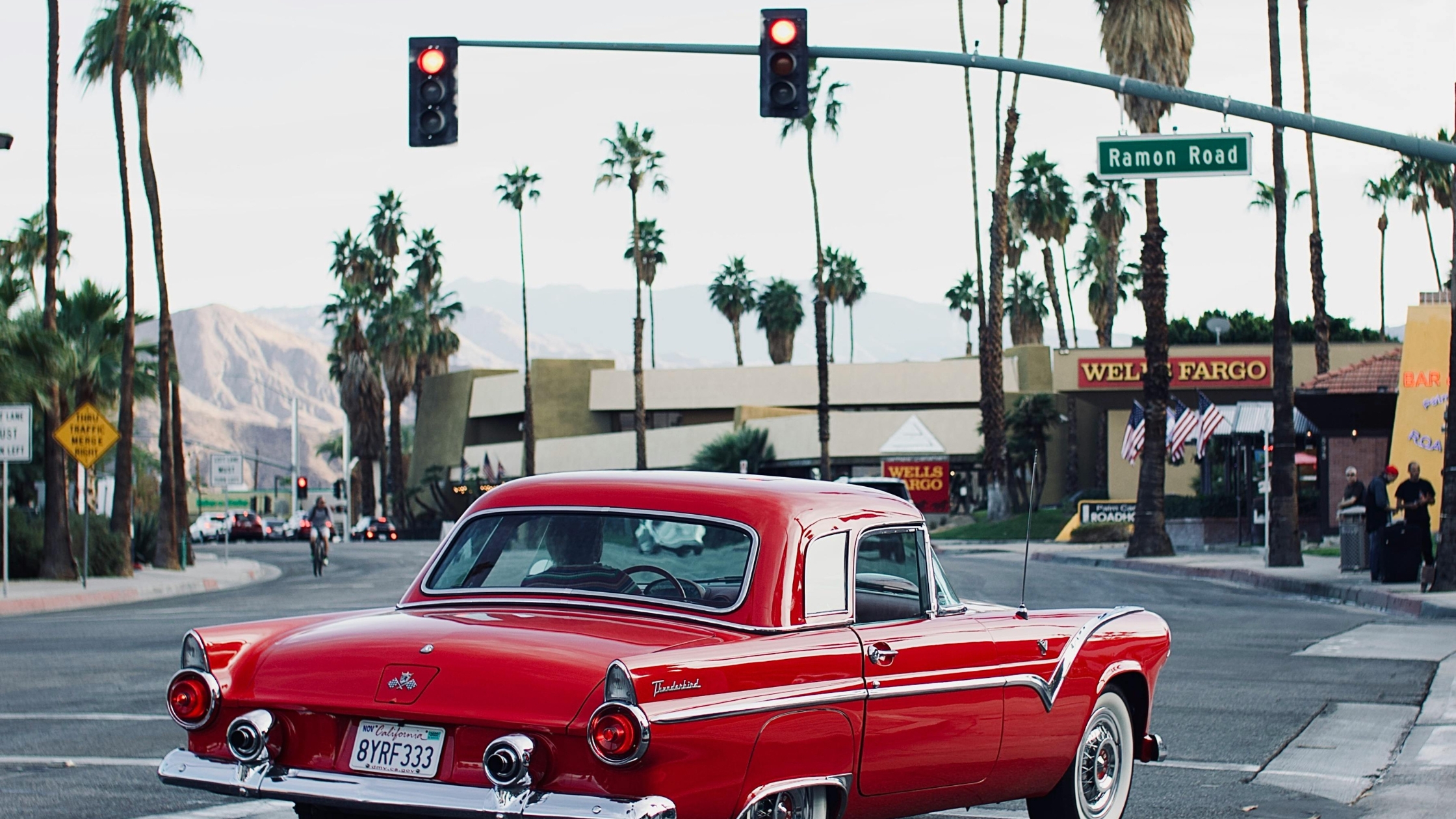 Dining, Coffee, and Local Favorites