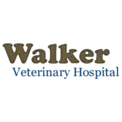 Gold 'Walker' text on blue background for dental clinic branding