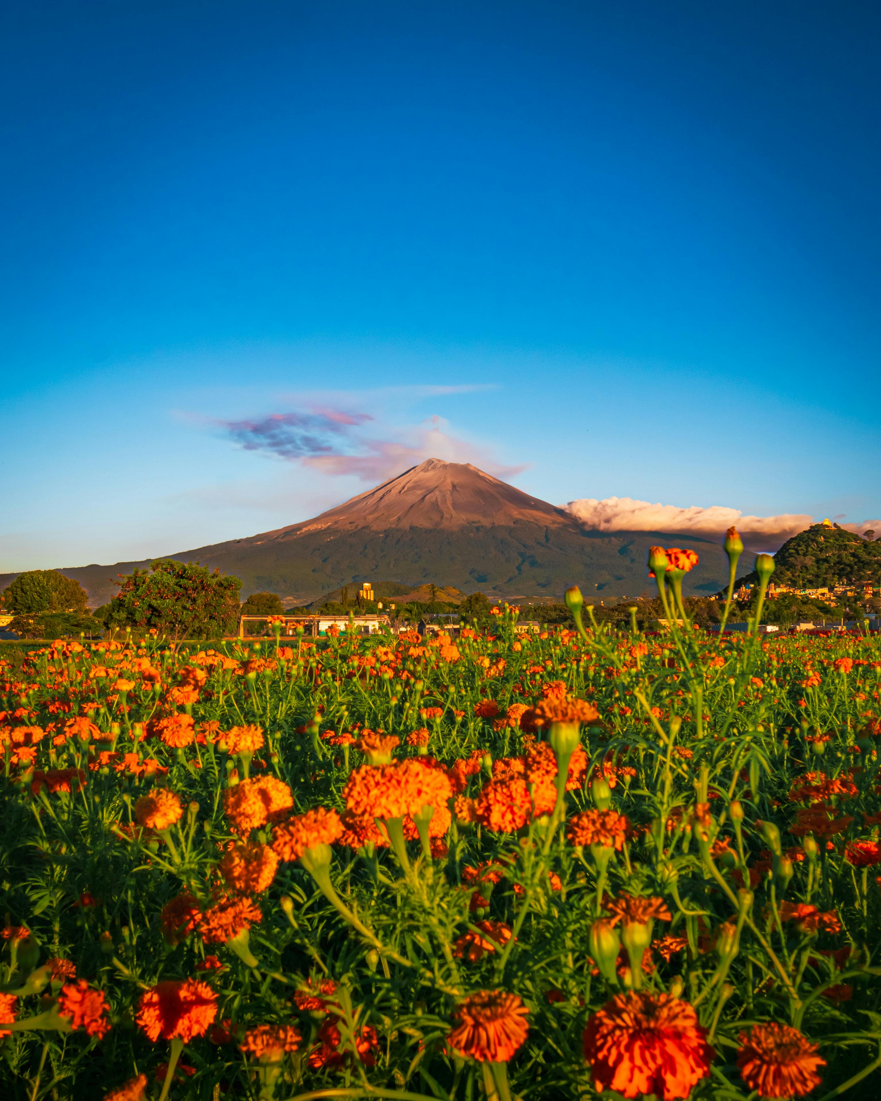 vista Atlixco