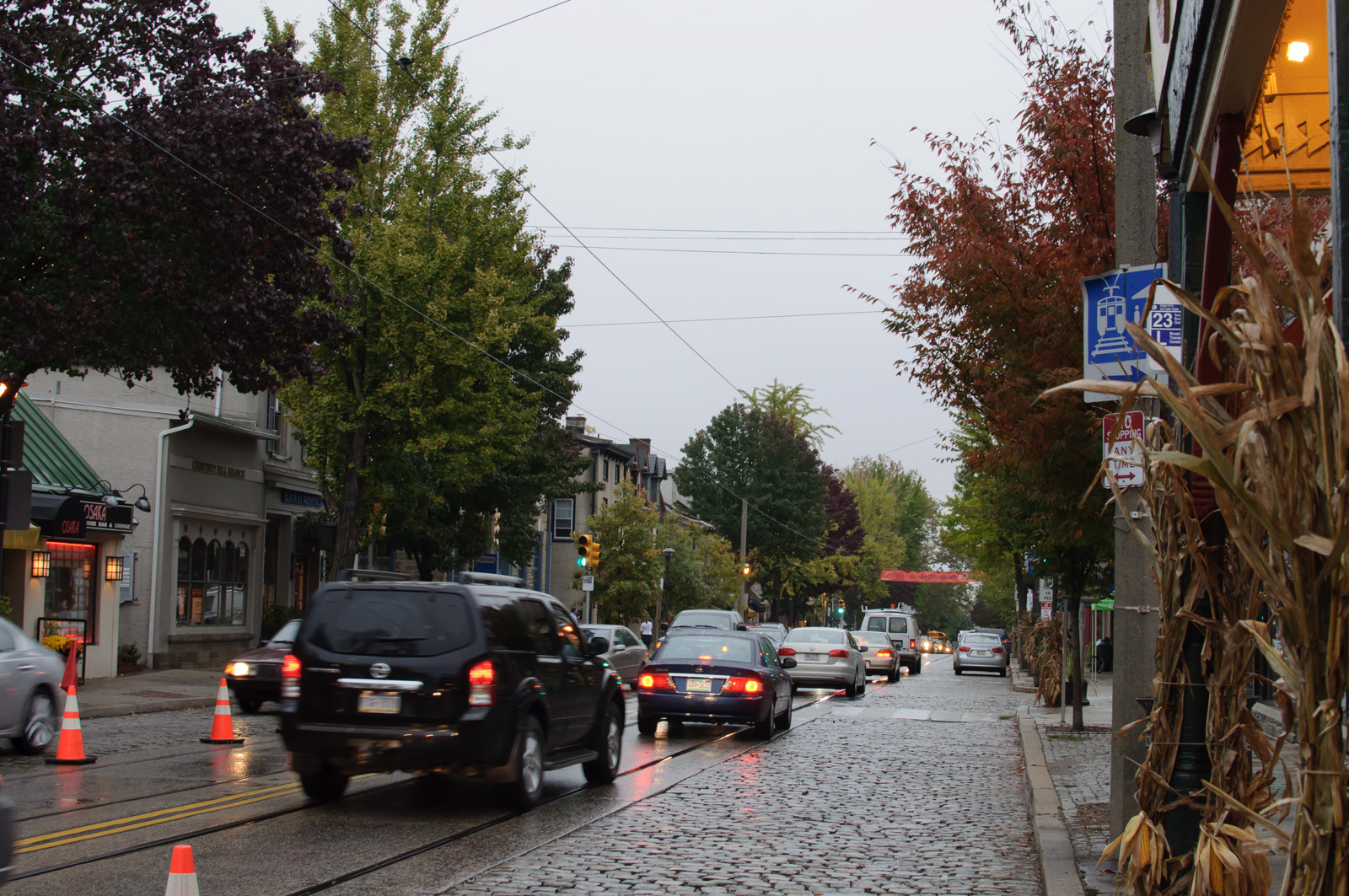 Chestnut Hill, Philadelphia — FantaskTeam home services