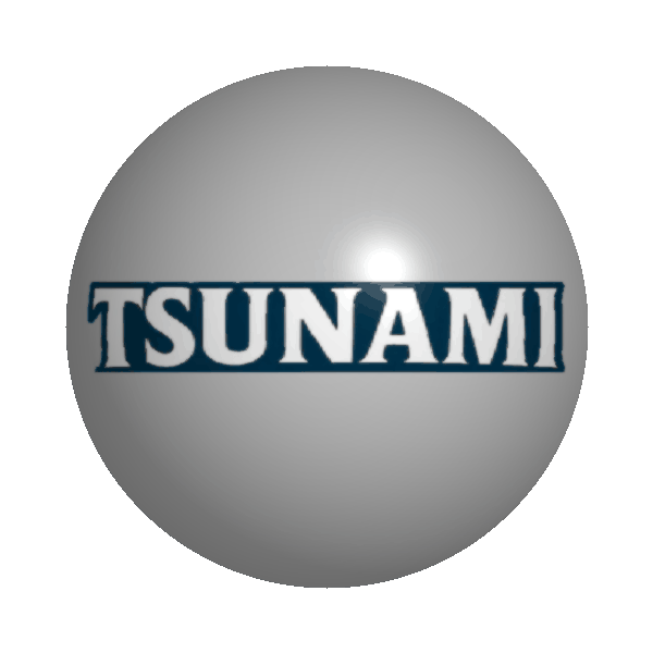 Tsunami - Mortgage Freedom