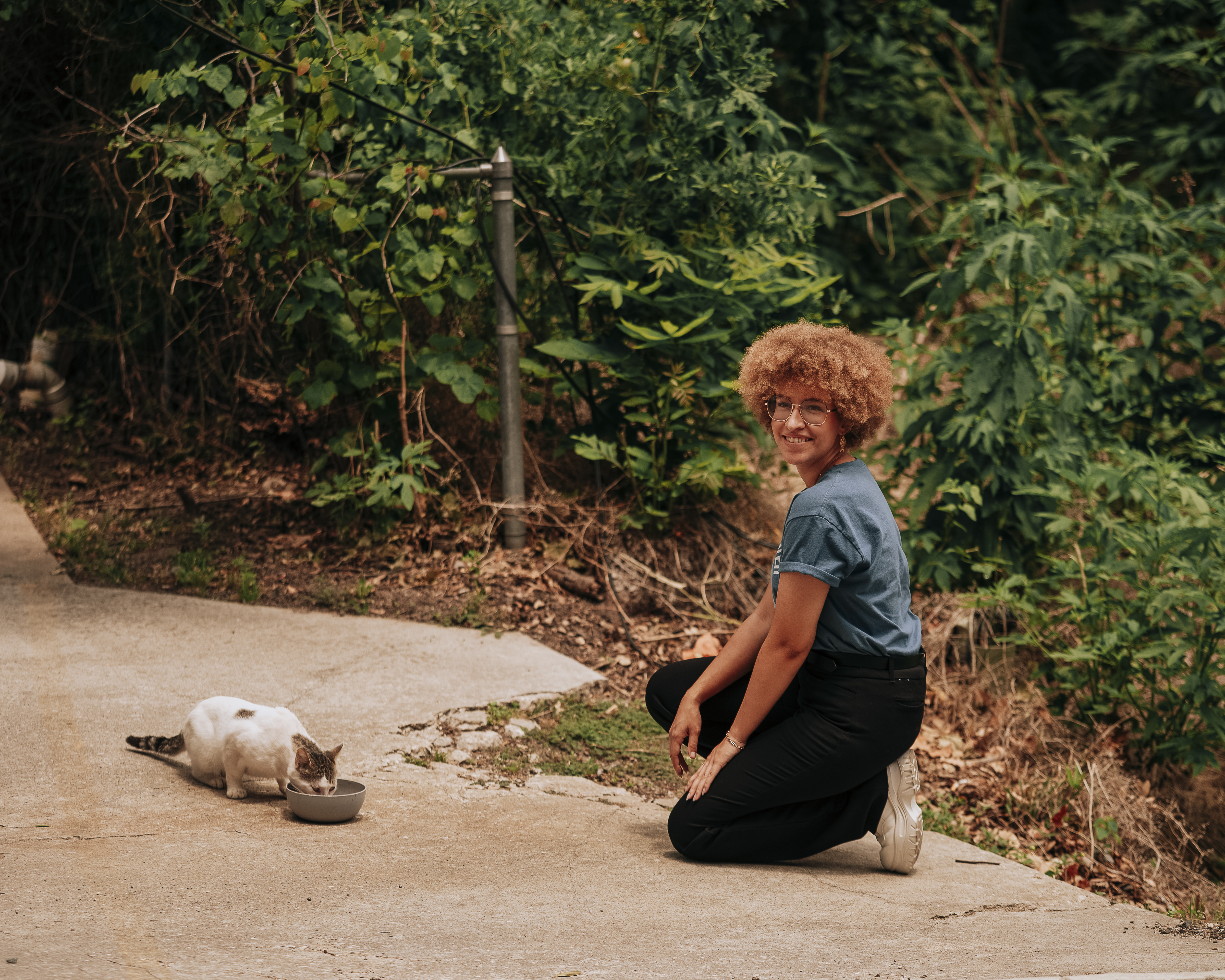Feeding a Stray Cat Feeding a Stray Cat