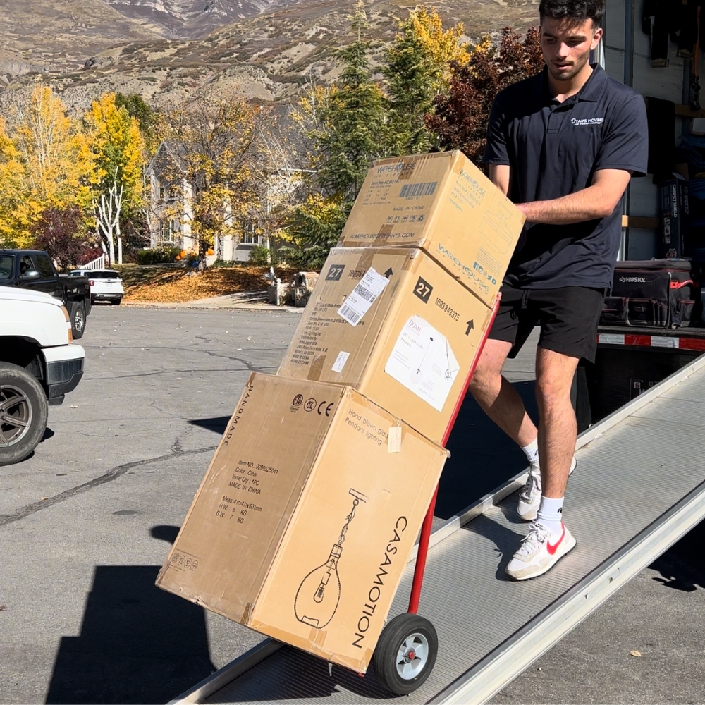 Professional mover handling packages