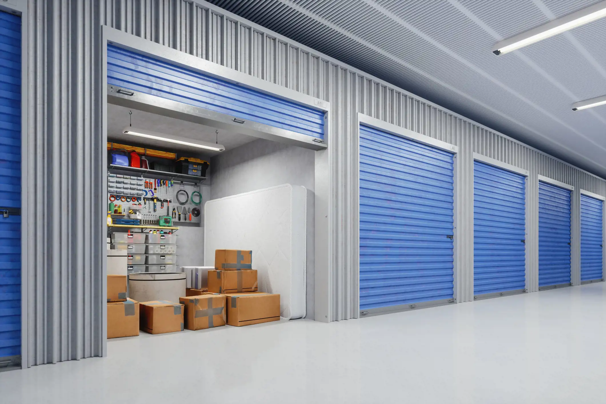 Organized storage unit