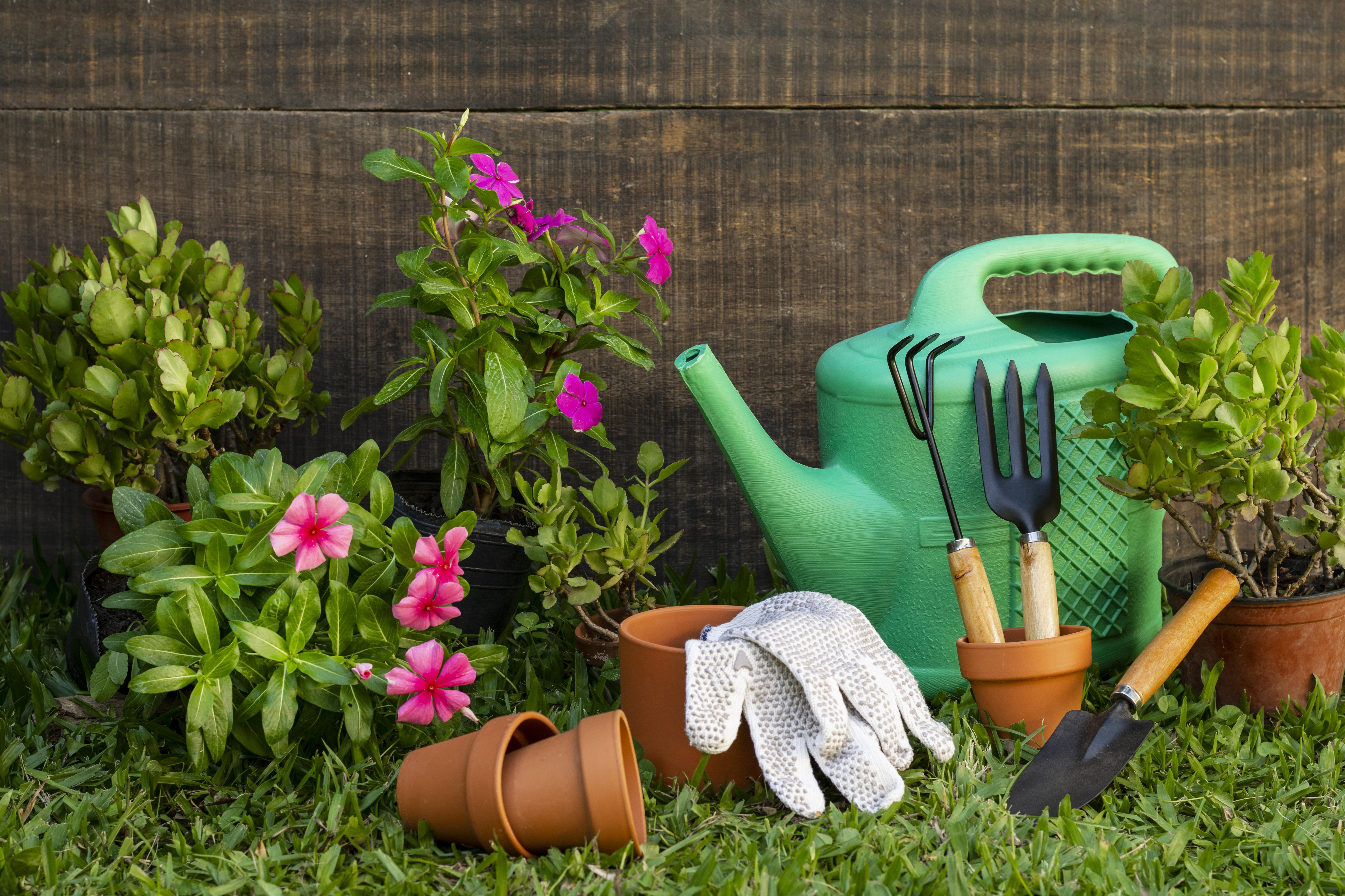 garden garden
