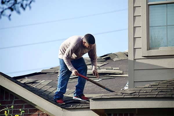 Homeowner removing damaged shingles, demonstrating proactive roof maintenance to prevent costly repairs and extend lifespan. Homeowner removing damaged shingles, demonstrating proactive roof maintenance to prevent costly repairs and extend lifespan.