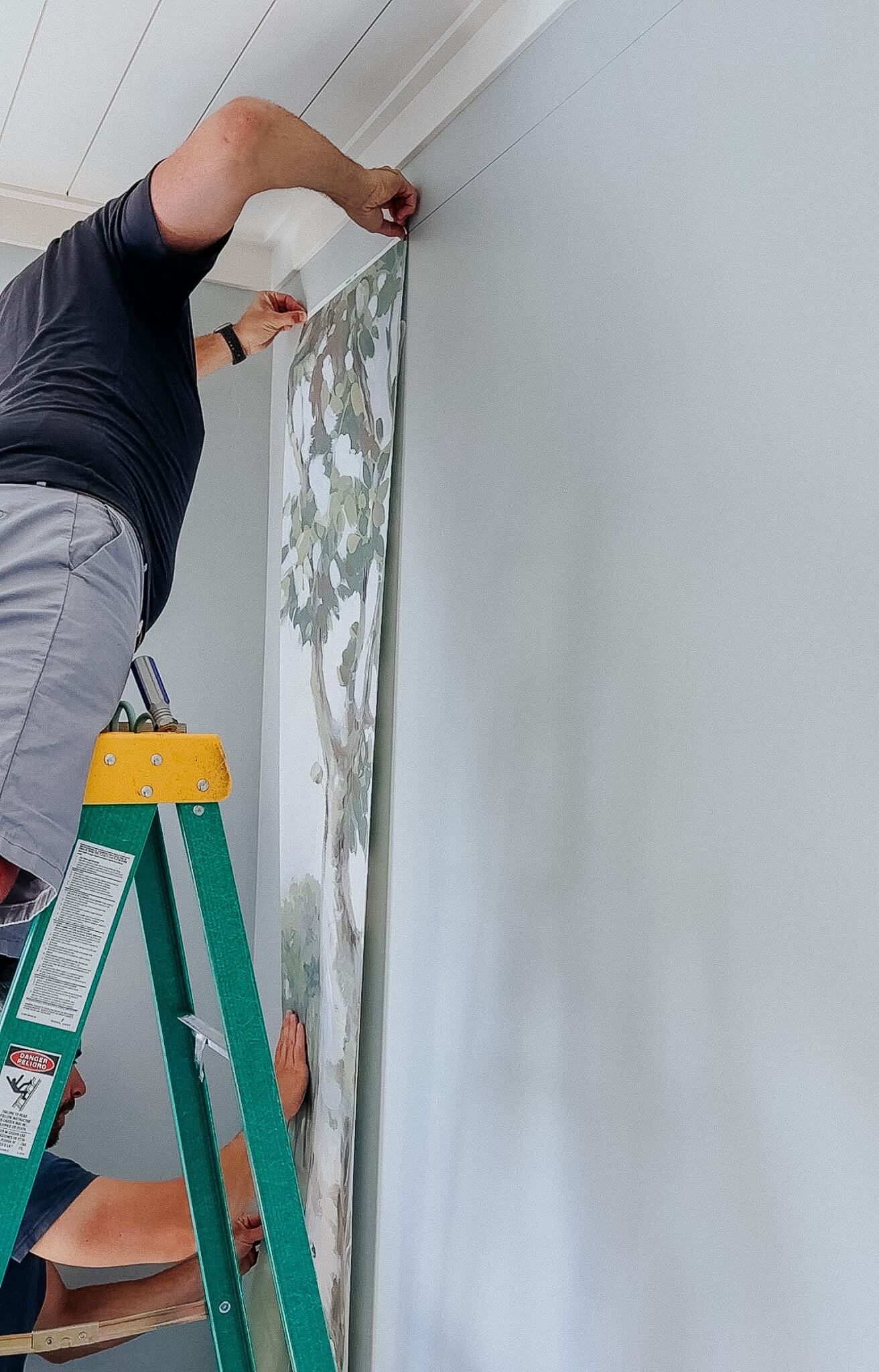 Wallpaper installation Dunedin