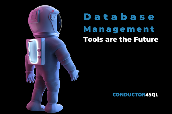 Why Database Management Systems Tools are the Future of Cost-Effective Data Management