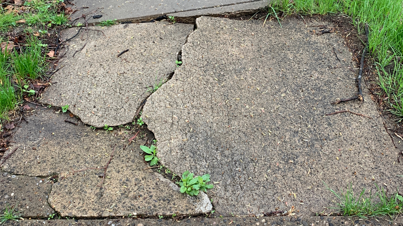 Broken sidewalk injury Broken sidewalk injury