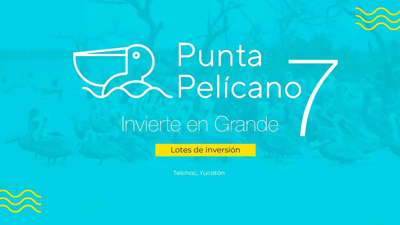 Punta Pelícanos