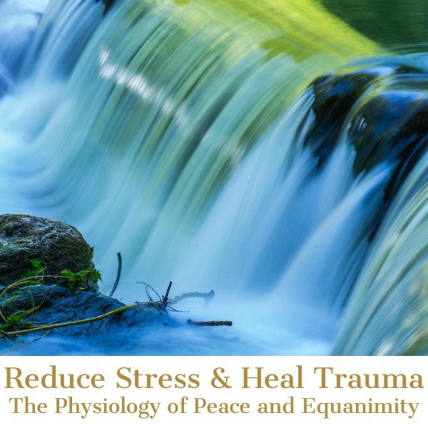 Holistic Healing