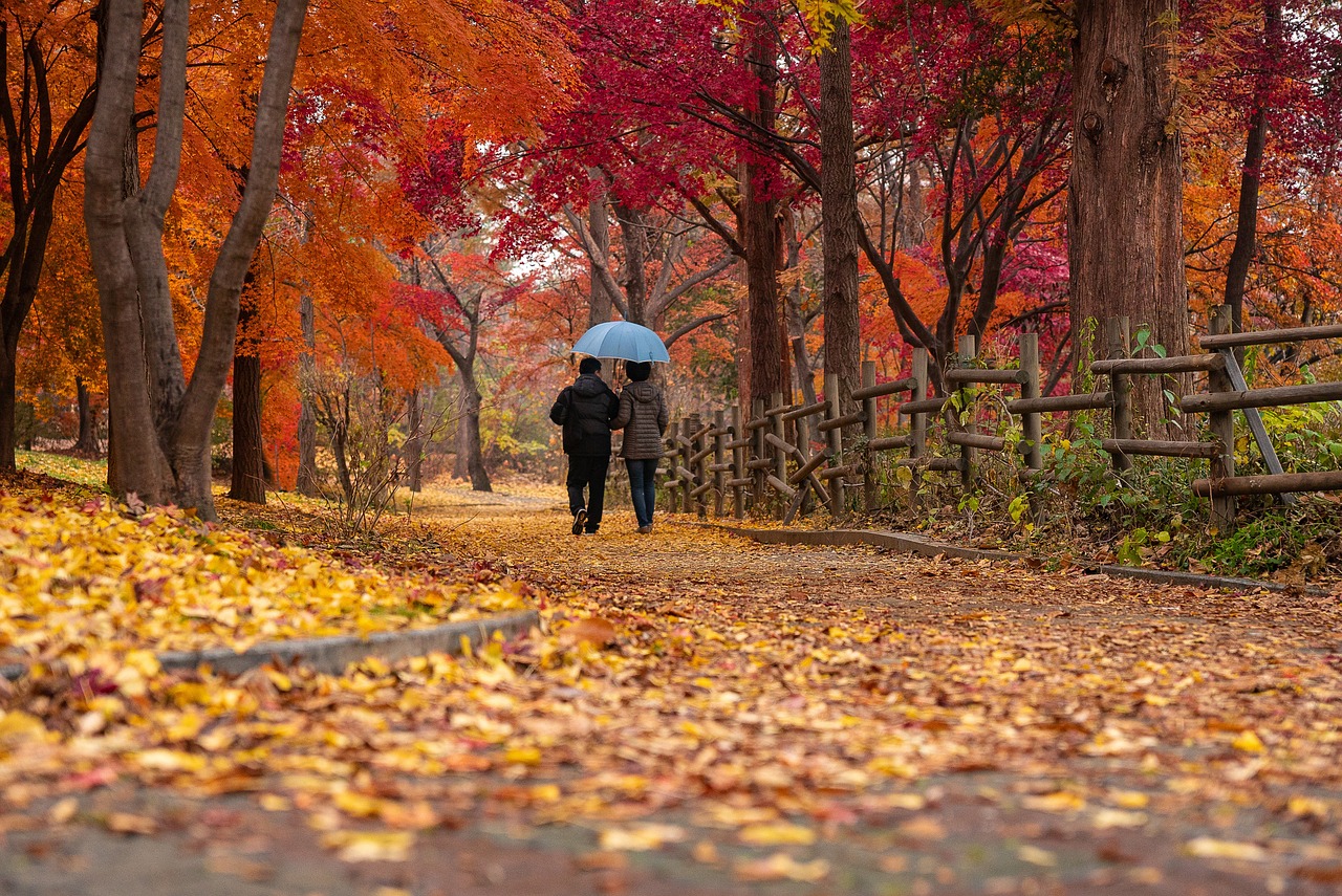 2 people walking in the woods