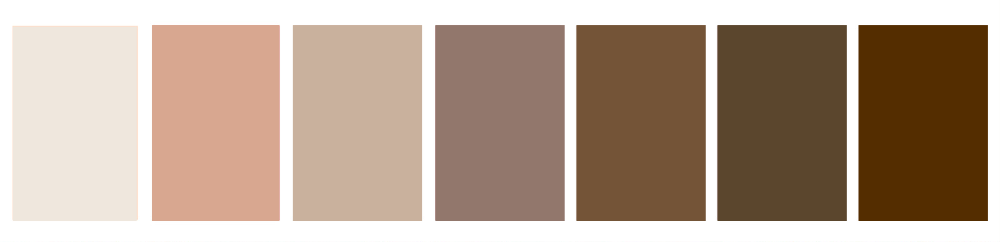 brown palette