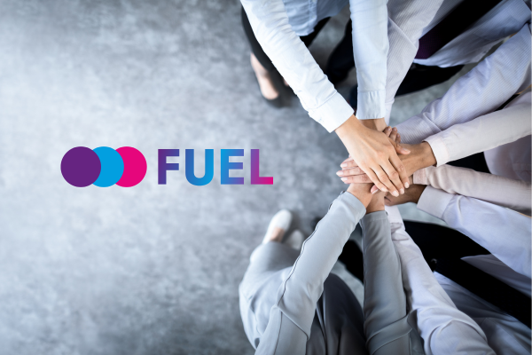 Fuel Media Marketing Auditing