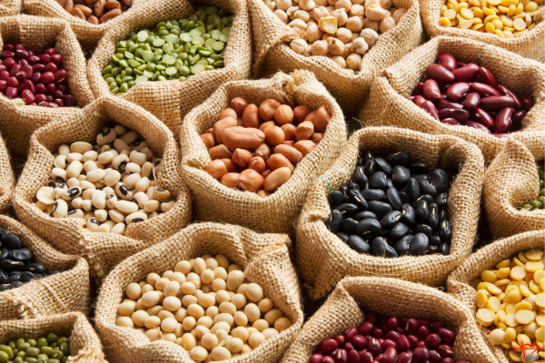 Legumes Legumes