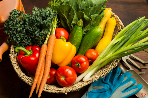 Vegetables Vegetables