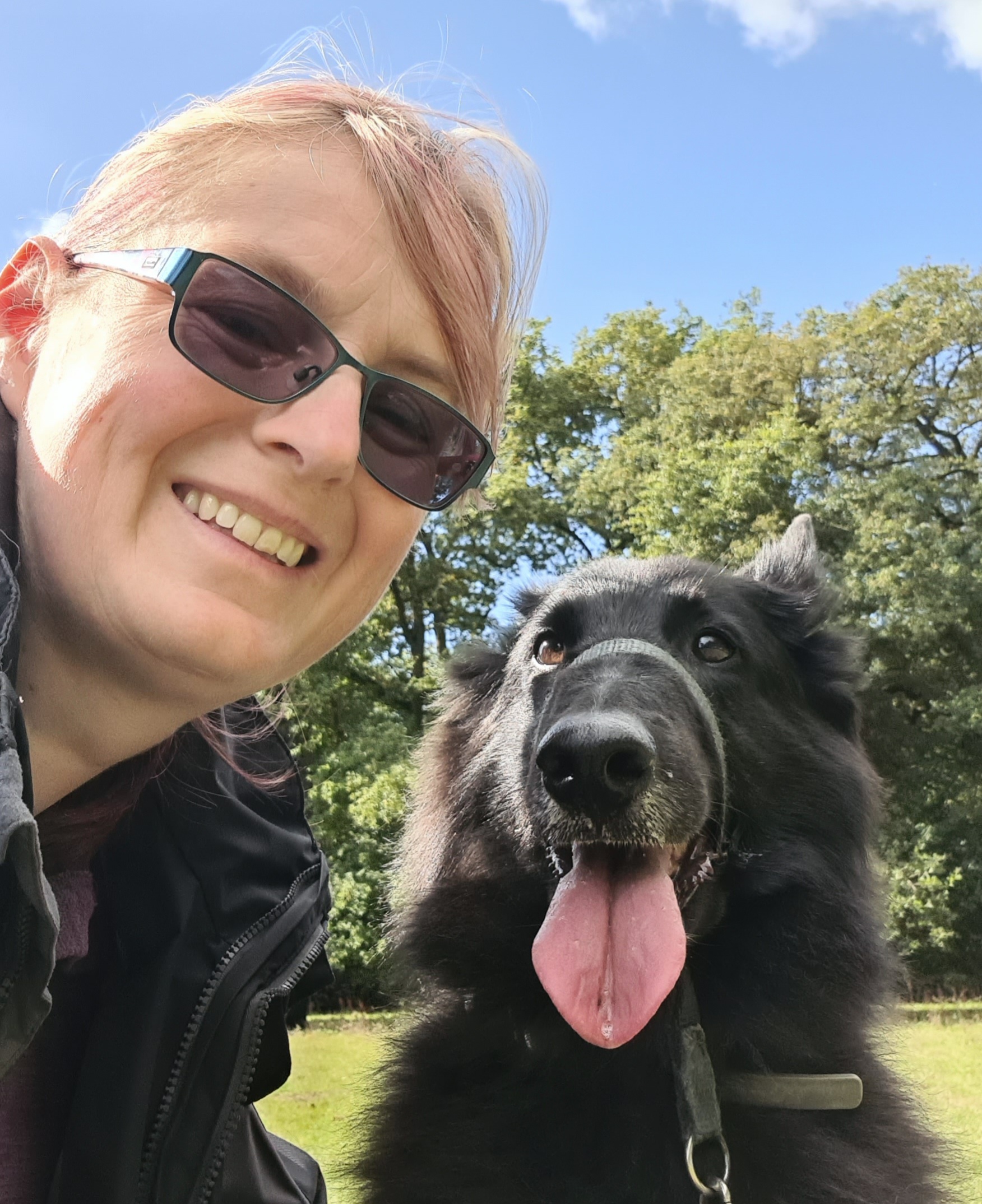 Why Do Dogs Pull on the Lead? Understanding the Behavior and Fixing It with Positive Reinforcement